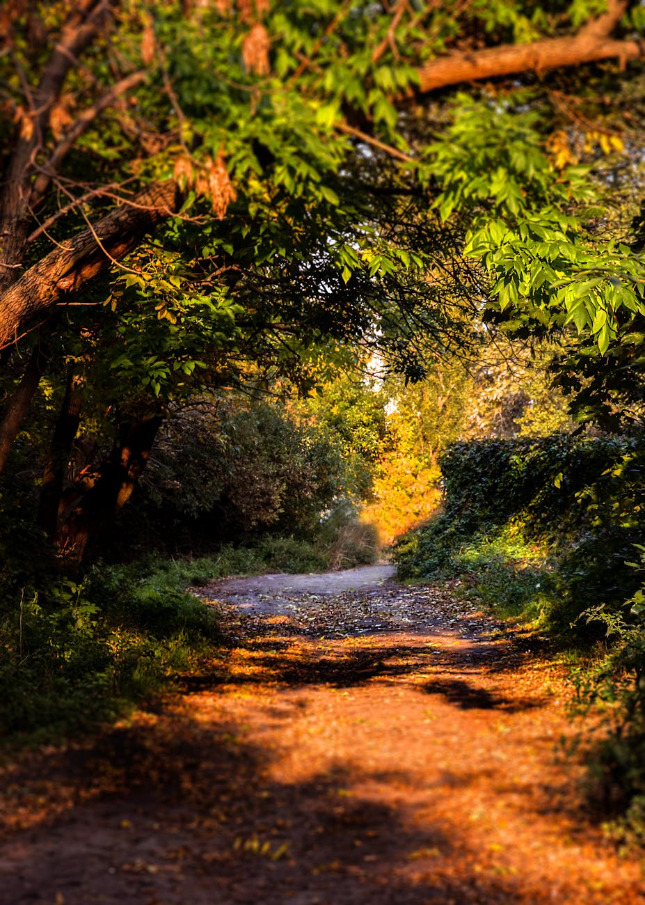 green trees